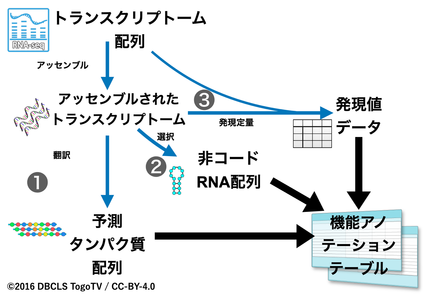 Development of Insect Gene Function Annotation Workflow for Genome editing