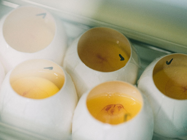 PtBio Inc. Enters into Capital and Business Alliance with Kewpie Corporation: Strengthening Research Capabilities Toward the Realization of “Egg for All” and Accelerating Data-Driven Microb