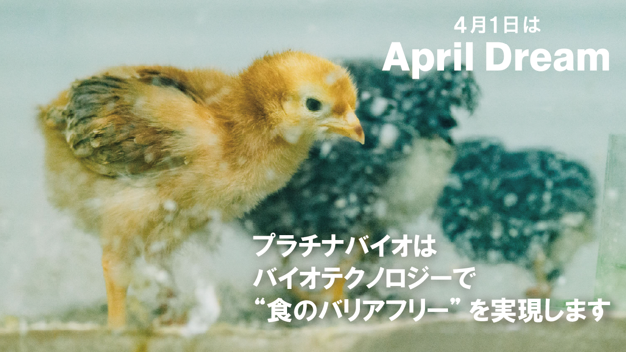 Realizing “Food Accessibility for All” Through Biotechnology— Breaking Barriers with the World’s First Allergy-free Egg Products【AprilDream】