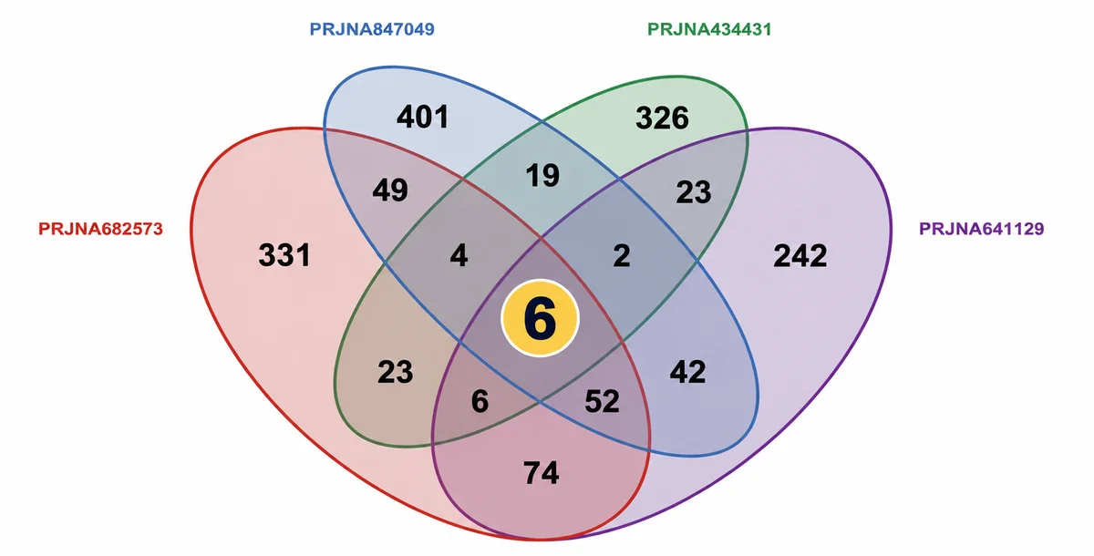 ヒト肥満の公開 RNA-seq 4 研究で発現が上がった遺伝子の重なりを示すベン図。4 研究すべてに共通する遺伝子は 6 個